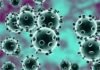 Efforts of DRDO in India’s fight against coronavirus governance