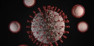 Merck and Ridgeback Bio collaborate to develop novel antiviral candidate, EIDD-2801 Merck