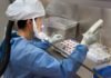 Pfizer establishes new program to support biotechnology innovation Biotechnology