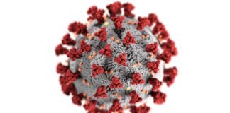 Researchers identify impact of bacterial co-infections & antimicrobial resistance in Covid-19 antimicrobial resistance