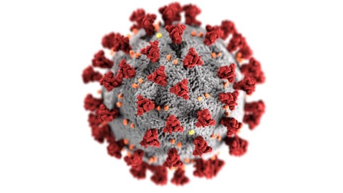 cdc-k0KRNtqcjfw-unsplash antimicrobial resistance
