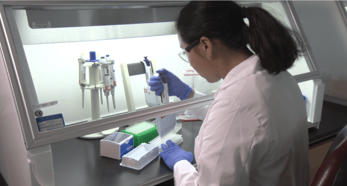fd Agena Bioscience