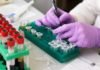 CCMB researchers develop low-cost novel coronavirus test CCMB