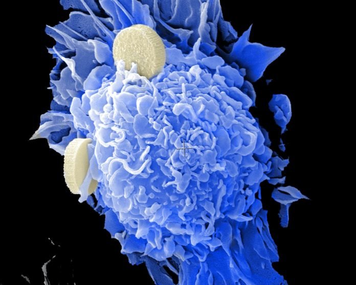 Antiviral