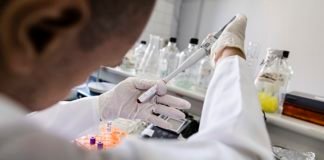 Roche’s Elecsys IL-6 test receives FDA EUA to identify Covid-19 patients at high risk of inflammatory response Elecsys IL-6 test