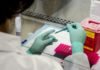 Pfizer and Biontech announce early positive data from an ongoing phase 1/2 study Pfizer