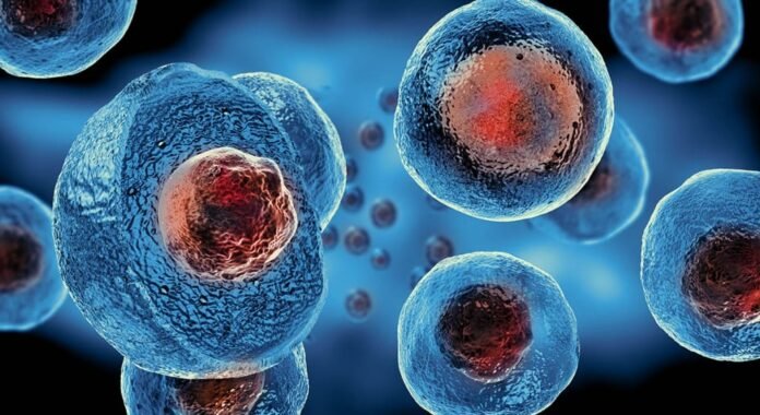 stem-cell-10 cell therapy