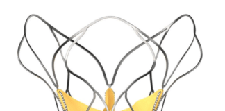 SMT launches TAVR device hydra in central Europe SMT