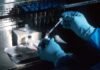 Thermo Fisher Scientific expands direct-to-patient clinical trials service offerings Thermo Fisher Scientific