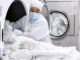 Apollo Laundry launches infection control laundry system for hospitals in India Apollo Laundry