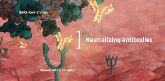 Siemens offers a quantitative Covid-19 test to measure neutralizing antibodies Siemens