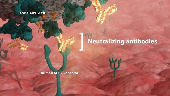 siemens-healthineers-press-covid-19-neutralizing-antibodies Siemens