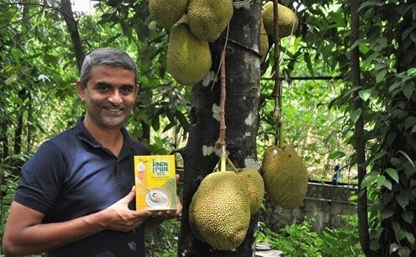 15260_jack Jackfruit