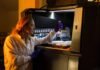 Thermo Fisher Scientific acquires viral vector manufacturing business from Novasep Thermo Fisher Scientific