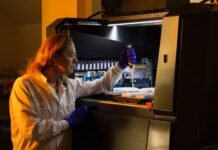 Thermo Fisher Scientific acquires viral vector manufacturing business from Novasep Thermo Fisher Scientific