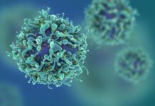 New DNA research to combat cancers resistant to current standard treatments New DNA research lead by Queen's University Belfast could lead to treatments for cancer that have been resistant to standard cures Image QUB