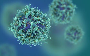 New DNA research to combat cancers resistant to current standard treatments New DNA research lead by Queen's University Belfast could lead to treatments for cancer that have been resistant to standard cures Image QUB