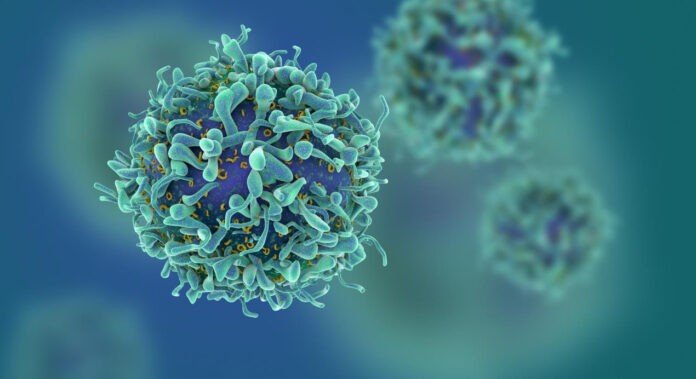 Queens New DNA research lead by Queen's University Belfast could lead to treatments for cancer that have been resistant to standard cures Image QUB