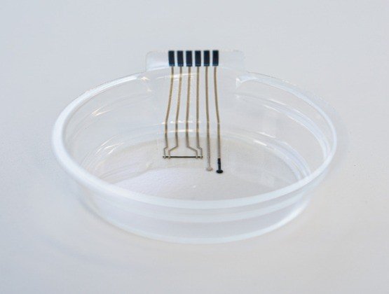 SmartPetriDish_Pic1 Greiner smart petri dish