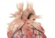 Pune-based Jeevtronics announces battery-less defibrillator IDTechEx