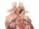 Pune-based Jeevtronics announces battery-less defibrillator IDTechEx