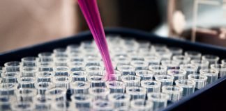 CanStaging+ software developed by Queen’s to capture worldwide cancer data launched CanStaging+