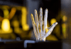 Xaar — Unleashes 3D Inkjet Xaar