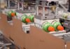 EndFlex announces the completion of end-of-line bottle packaging system EndFlex has announced the completion of a highly customized end-of-line system in 20 weeks