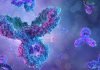 Test confirmed ‘Thermaissance’ technology kills Tuberculosis Tuberculosis