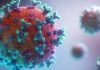 Can Omicron be considered a common flu? Omicron variant BA 2.2 Image University of California.edu