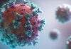 Bharat Biotech collaborates with ExcellGene & Sydney varsity Bharat Biotech