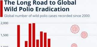 The Long Road to Global Wild Polio Eradication Polio