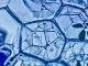 Orchid Pharma set to commercialize molecule that treats acute UTI Orchid