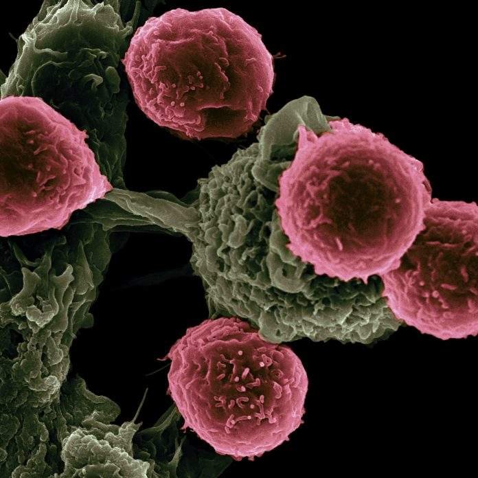 Experts See India’s Daycare Cancer Centers in Alignment with World Cancer Day’s 'United by Unique' Campaign