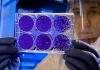 Targeted therapies to drive cancer care in India, says GlobalData cancer