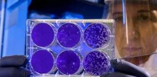 Targeted therapies to drive cancer care in India, says GlobalData cancer