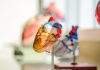 High homocysteine in blood can lead to heart issues homocysteine