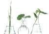 Lanxess aims to be climate-neutral by 2050 Lanxess
