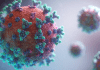 Covid-19 no longer a global health emergency: WHO Covid-19
