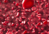 Prevention a better way to tackle thalassemia: Doctors Thalassemia