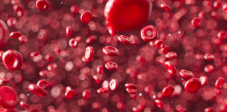 Prevention a better way to tackle thalassemia: Doctors Thalassemia