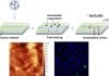 ‘Invisible’ cellulose coating that can inactivate Covid virus cellulose