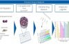 Anticancer drugs research by Osaka University, JFCR and Toppan Anticancer