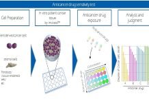Anticancer drugs research by Osaka University, JFCR and Toppan Anticancer