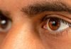 12% surge in corneal donations at ICARE eye hospital icare