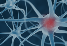 PharmNovo’s preclinical results on opioid receptor PharmNovo