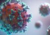 No link between sudden deaths and Covid vaccine: ICMR ICMR