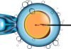 Nova IVF Fertility launches podcast, ‘Fertility Tales’ Nova