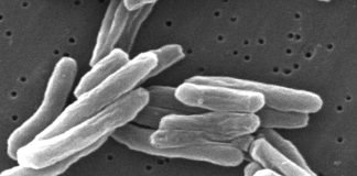 Bharat Biotech begins clinical trials of TB vaccine Bharat