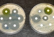 FSSAI unveils action plan on anti-microbial resistance FSSAI